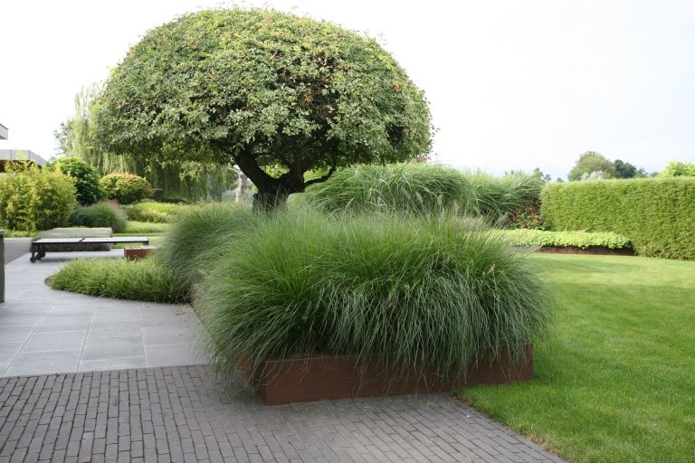 Luxe Corten hoge borderrand | 3 hoogtematen