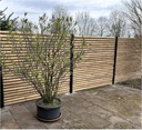 Bamboe schutting naturel | 5 hoogte maten leverbaar