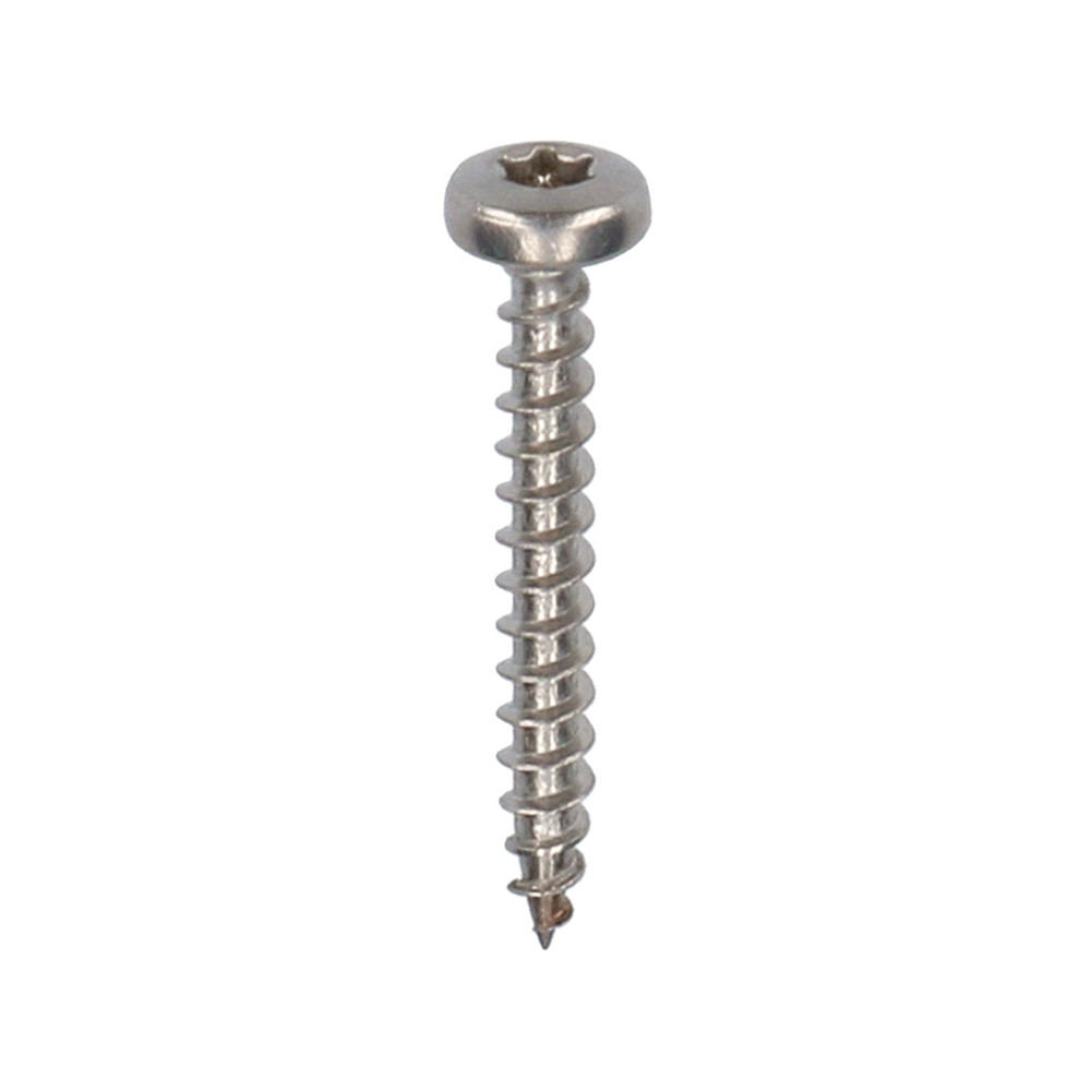 Torx rvs schroef 30 mm | 200 st