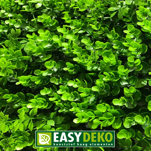 [ED.060319] Easydeko kunsthaag Buxus grof vegetatie per m²