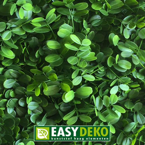 [ED.60302] Easydeko kunsthaag Ficus Microcarpa per m²