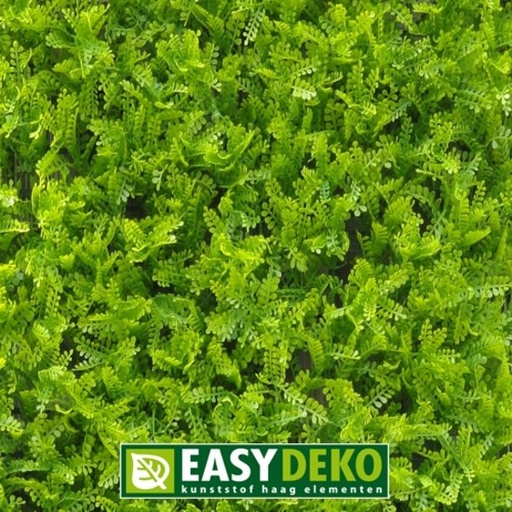 [ED.060128] Easydeko Kunsthaag Asplenium Viride per m²