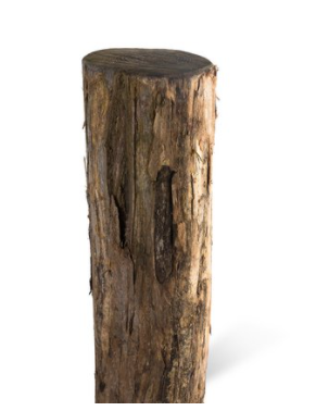 [VS.1000459] Strandpaal robinia rondhout | Ø10-12cm / 140cm | geschild en gepunt
