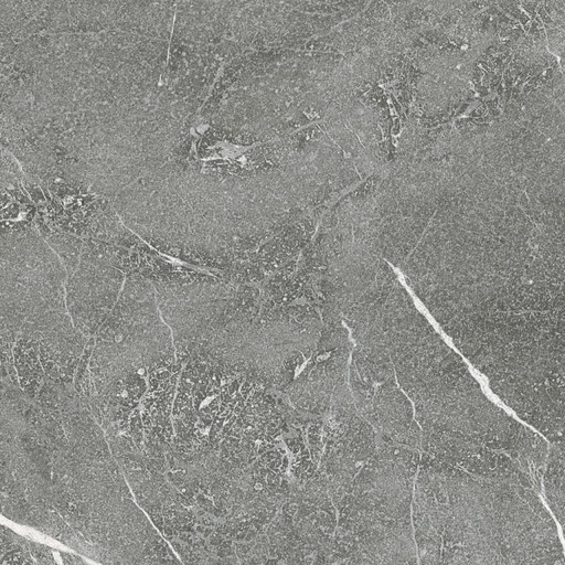 GeoCeramica Imola The Rock | 60x60x4